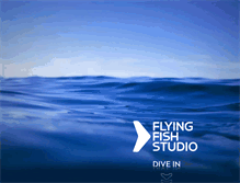 Tablet Screenshot of ffstudio.us